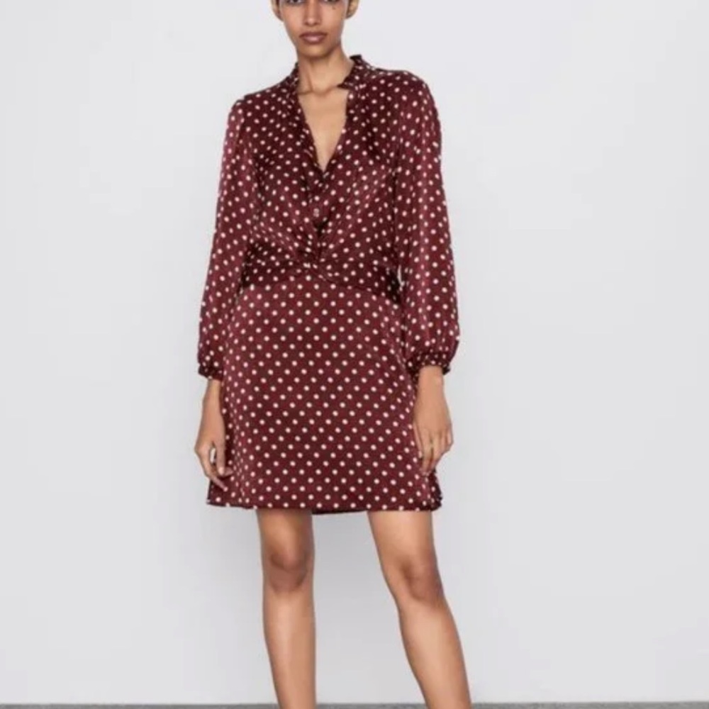Zara Polka Dot Satin Dress Size S
